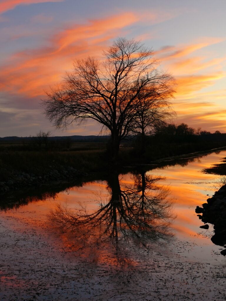 Sunset on the Duck River